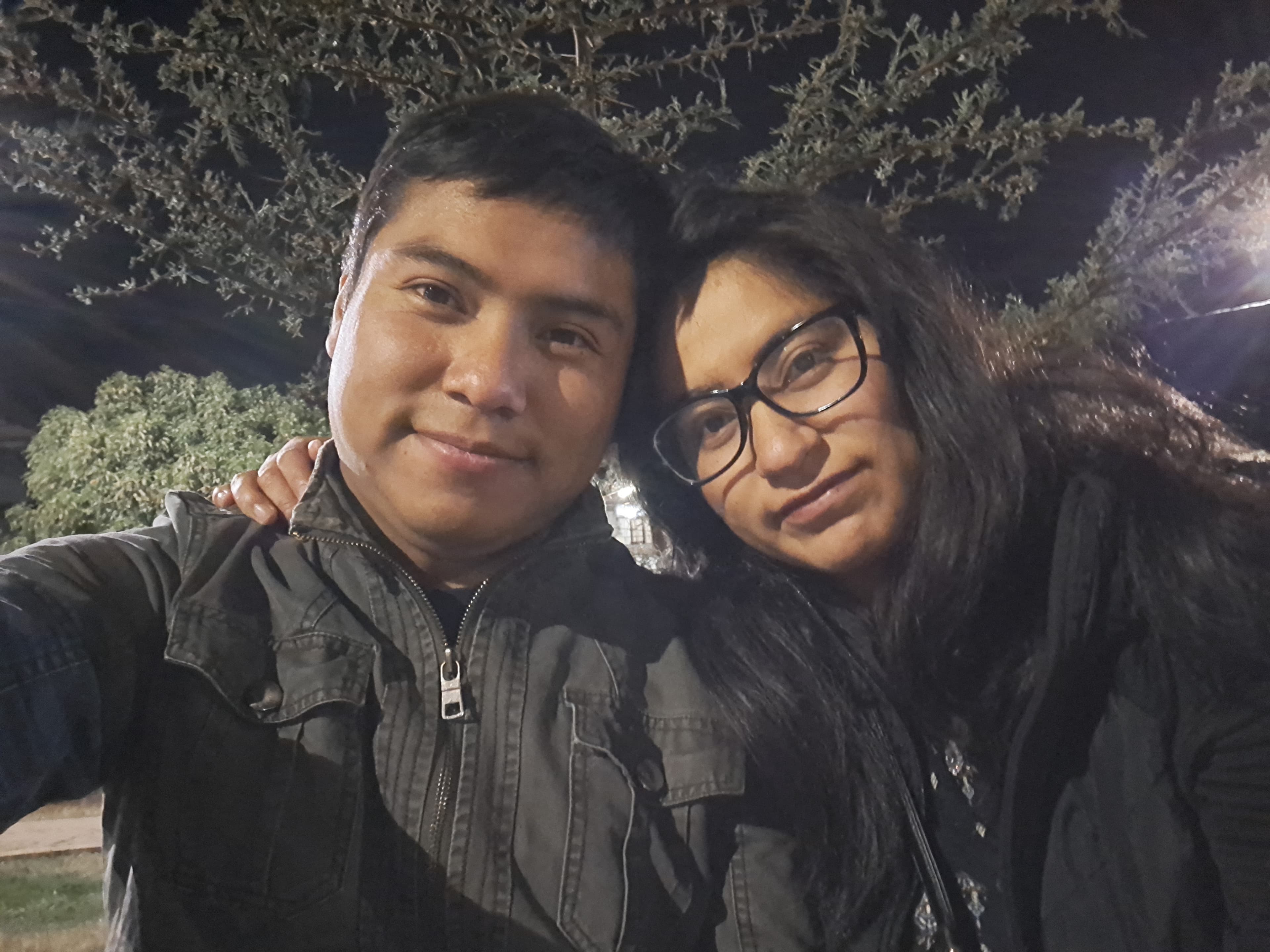 Noche bajo el árbol